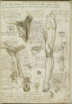 an image of a drawing of the human body