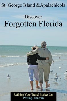 two people walking on the beach with seagulls in the background and text reading, st george island & apalahicola discovery forgotten florida