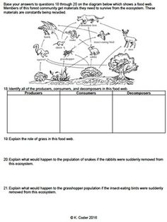 the diagram below shows how plants and animals interact with each other in this worksheet