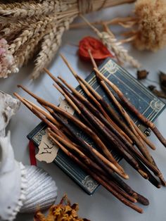 several sticks are sitting on top of a table next to dried flowers and seashells