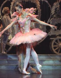 the ballerina is dressed in pink and has flowers all over her dress, while she stands on stage