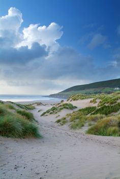 a sandy path leading to the ocean on a cloudy day