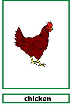 a red chicken standing in front of a green frame with the word chicken on it's side