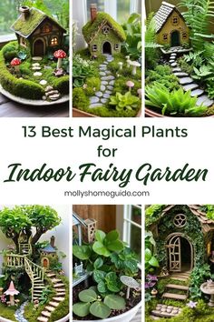 the best fairy garden ideas for indoor fairy gardens, including plants and small houses with steps leading up to them