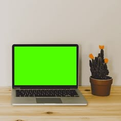 an open laptop computer sitting on top of a wooden desk next to a potted plant