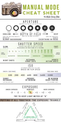 an info sheet showing the different types of vehicles