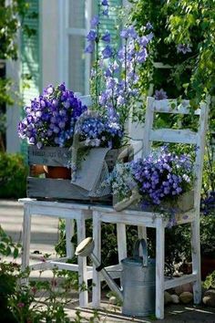 some purple flowers are growing in buckets on a white bench with a watering can