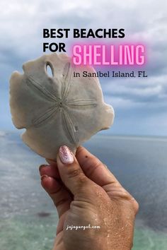 someone holding up a shell with the words best beaches for shelling in sanibe island, fl