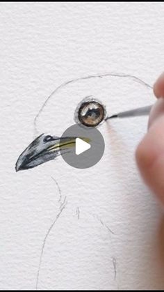 someone is drawing a bird with watercolors on paper