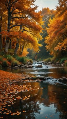 a river surrounded by trees with leaves on the ground and rocks in the water near it