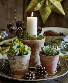 an image of a table with some plants and candles on it, including pine cones