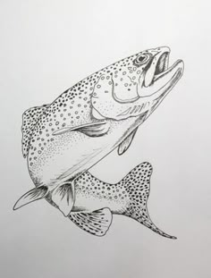 a drawing of two fish with their mouths open