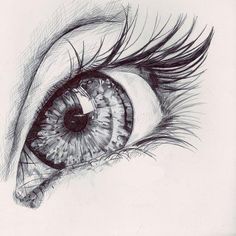 a pencil drawing of an eye with long lashes