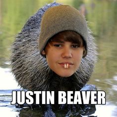 a young boy wearing a furry animal hat in the water with caption that reads, just in beaver