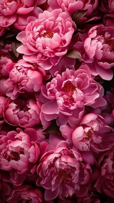 many pink flowers are shown in this close up photo