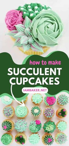 how to make succulent cupcakes with the title overlay