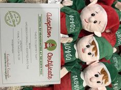 several stuffed animals are lined up next to a certificate