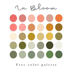 the color palette for un bloom