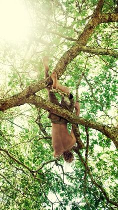 a man climbing up the side of a tree