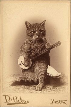 an old photo of a cat holding a guitar