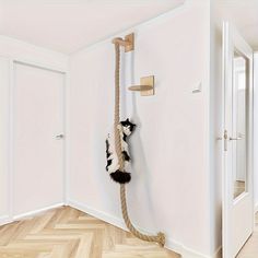 a cat toy hanging on a rope in the corner of a room with white walls