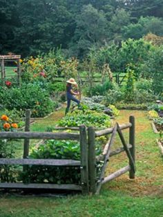 a garden filled with lots of different types of vegetables