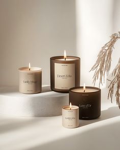 three candles sitting next to each other on top of a white surface with dried plants in the background