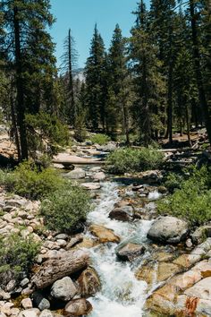 a river running through a forest filled with rocks