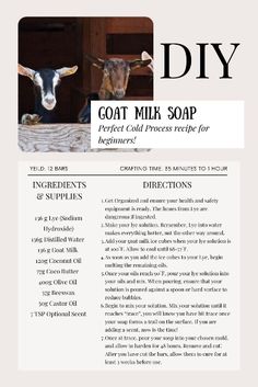 the front page of an article about goat milk soap