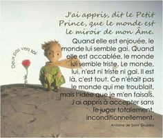 a little boy sitting on top of a rock next to a red rose with the words in french