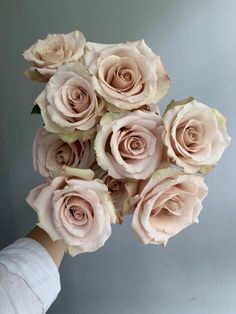 a person holding a bunch of pink roses in their hand and the flowers are very large