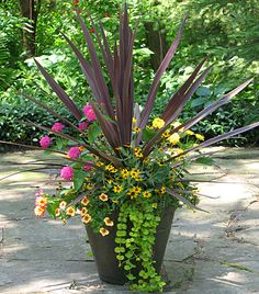 a potted plant with flowers in it sitting on a stone walkway surrounded by greenery