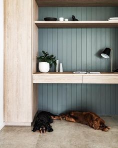 two dogs laying on the floor in front of a shelf