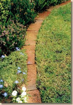 a garden path in the middle of some grass and flowers on either side of it