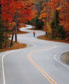 a person walking down a winding road surrounded by trees in the fall with orange and yellow leaves