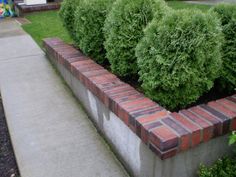 a brick planter in the middle of a sidewalk with shrubbery growing around it