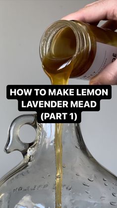 how to make lemon lavender mead, part 1 - the best way to use it