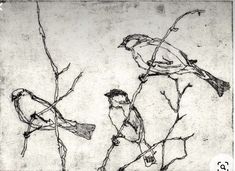 black and white drawing of two birds perched on branches