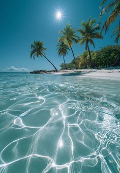 the sun shines brightly over an ocean with palm trees in the foreground and clear blue water below