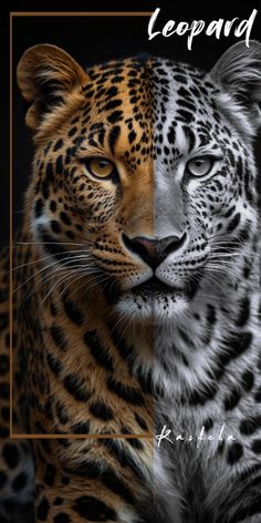 two different pictures of a leopard and a tiger with the words leopard on it's face