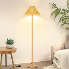 a living room with a plant and a lamp on the floor next to a couch