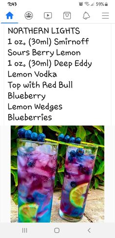 two glasses filled with blueberries and lemonade on top of a wooden table next to plants