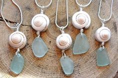 seven sea glass necklaces with shells and seashells hanging from them on a piece of wood