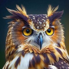 an owl with yellow eyes and brown feathers