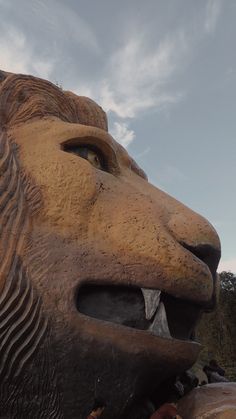 a close up of a statue of a lion's head with clouds in the background