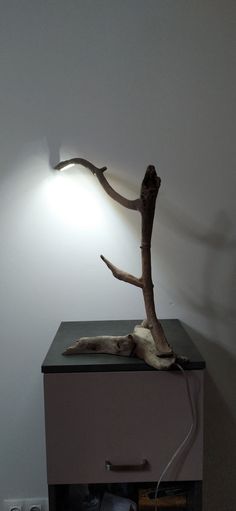 a lamp that is sitting on top of a dresser next to a dead tree branch