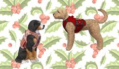 two dogs standing next to each other in front of a wallpaper with red flowers