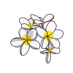 a bunch of white flowers with yellow centers on a white background in the style of doodle