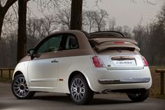 the back end of a small car with its trunk open