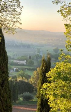 the sun is shining on trees and fields